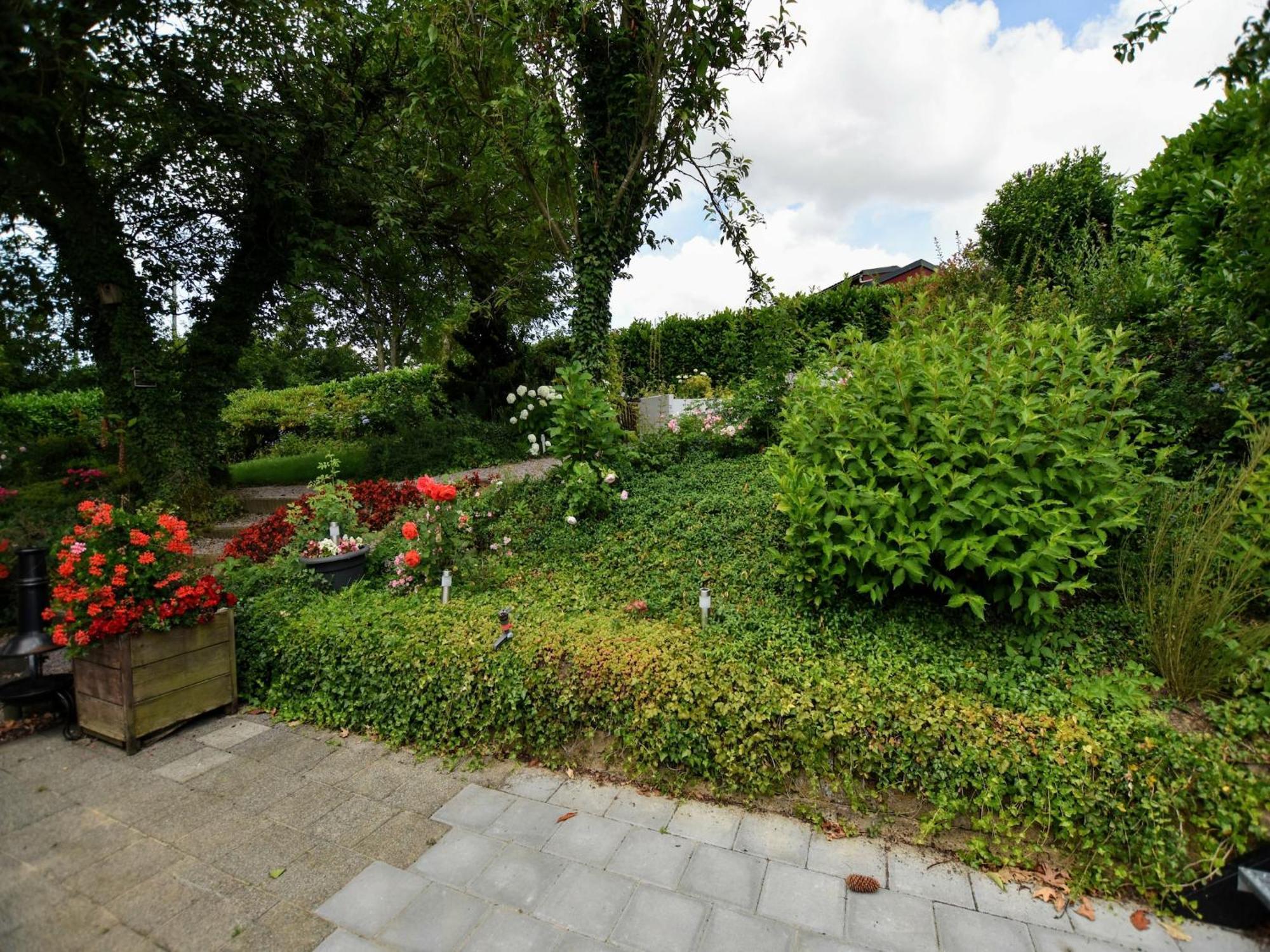 Luxury House In South Limburg Near Forest Walem Екстер'єр фото